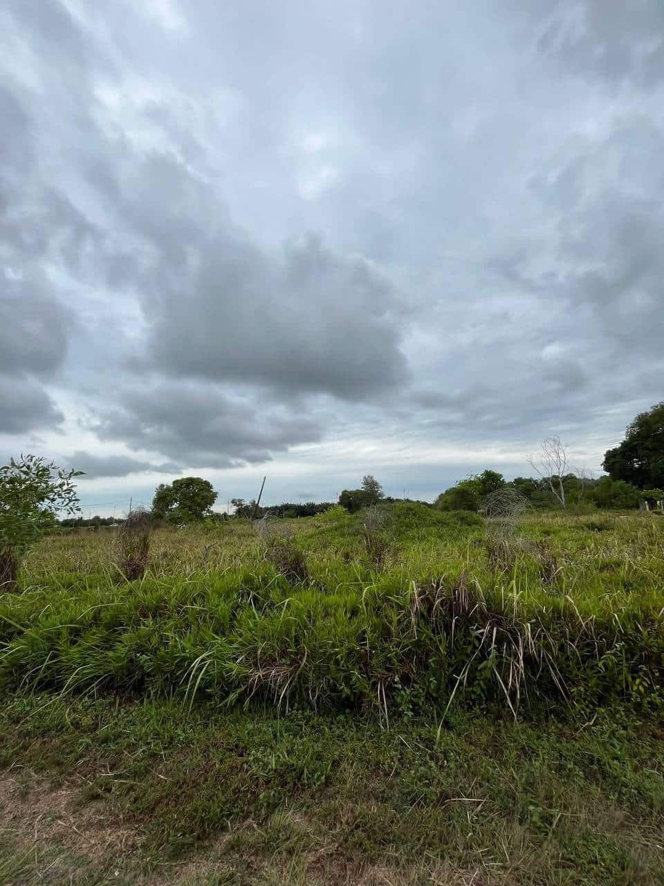 🌊 Pengerang Seaside Commercial Land for Sale (SL30… 4