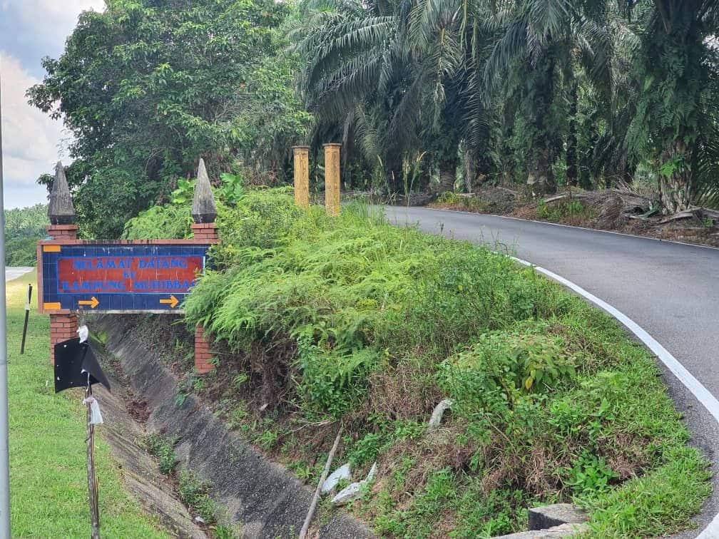 1.5 Storey Detached Factory Corner Sungai Tiram 8