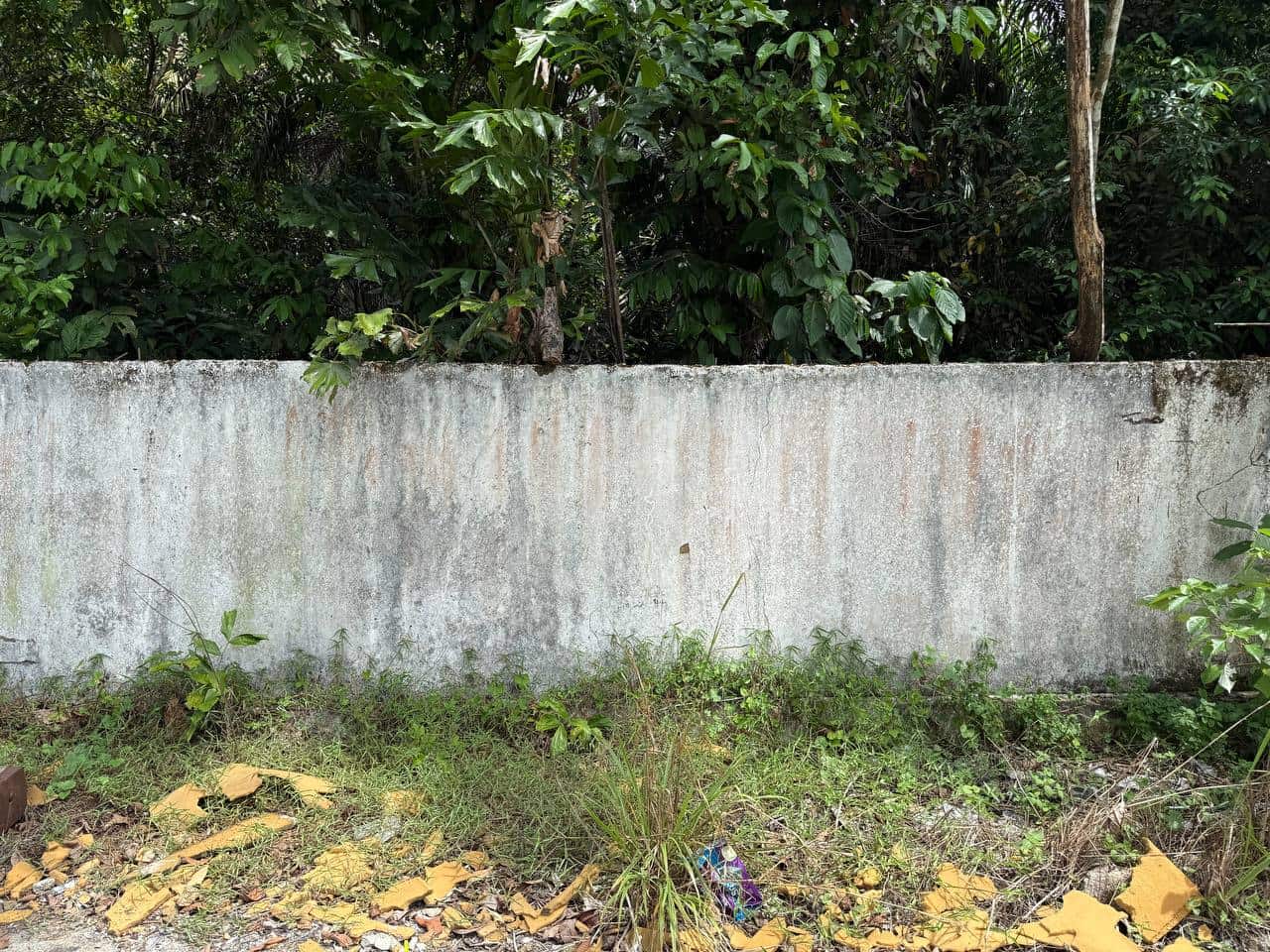 Land Ulu Tiram 6