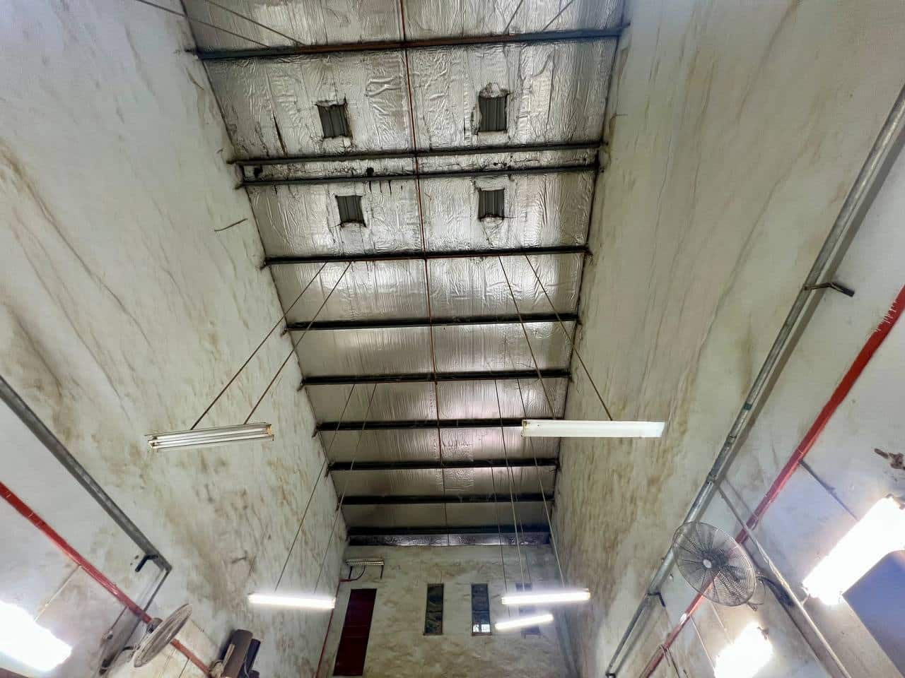 1.5 storey Terrace factory Jalan Mutiara Emas @ Mount Austin 5