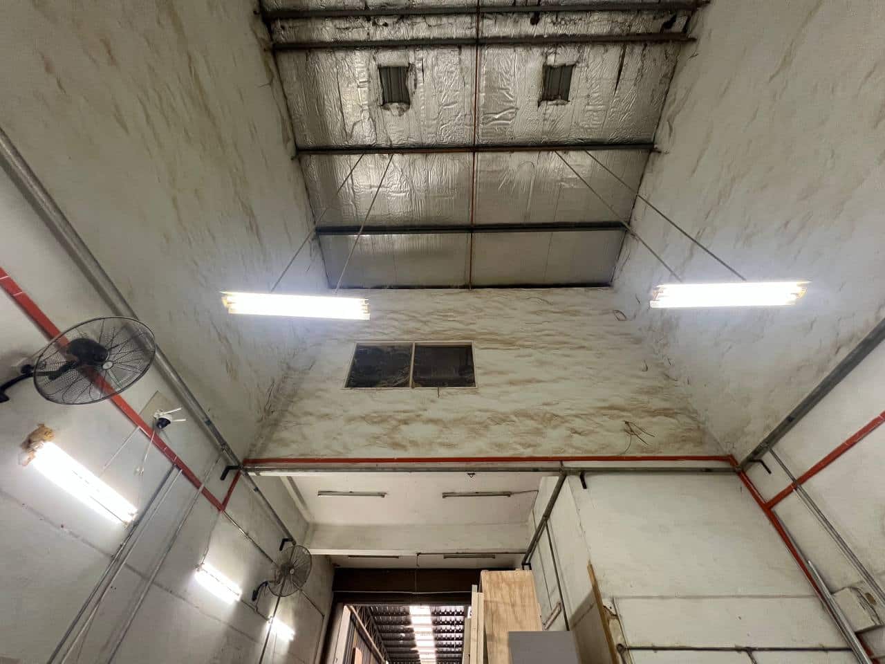 1.5 storey Terrace factory Jalan Mutiara Emas @ Mount Austin 4