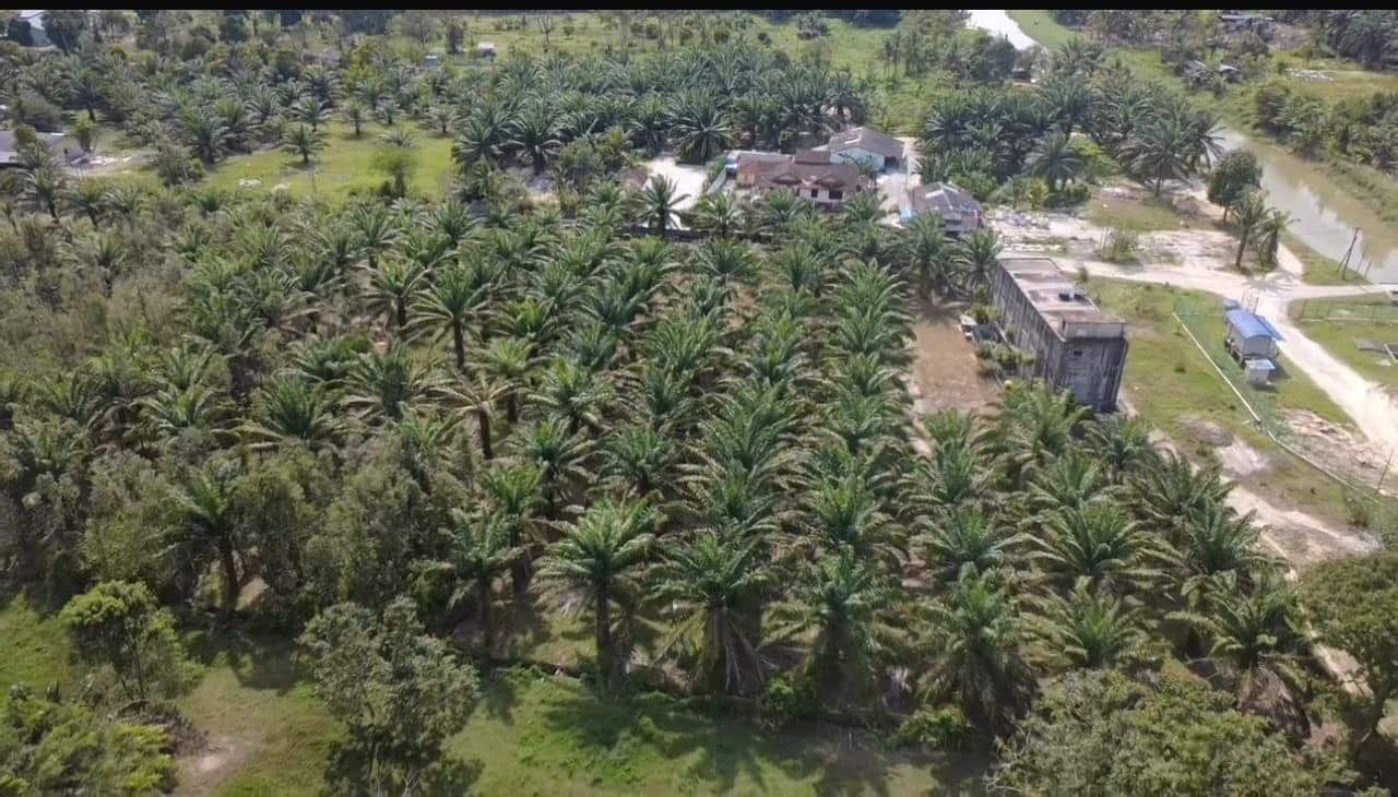 Agriculture land Ulu Tiram 2