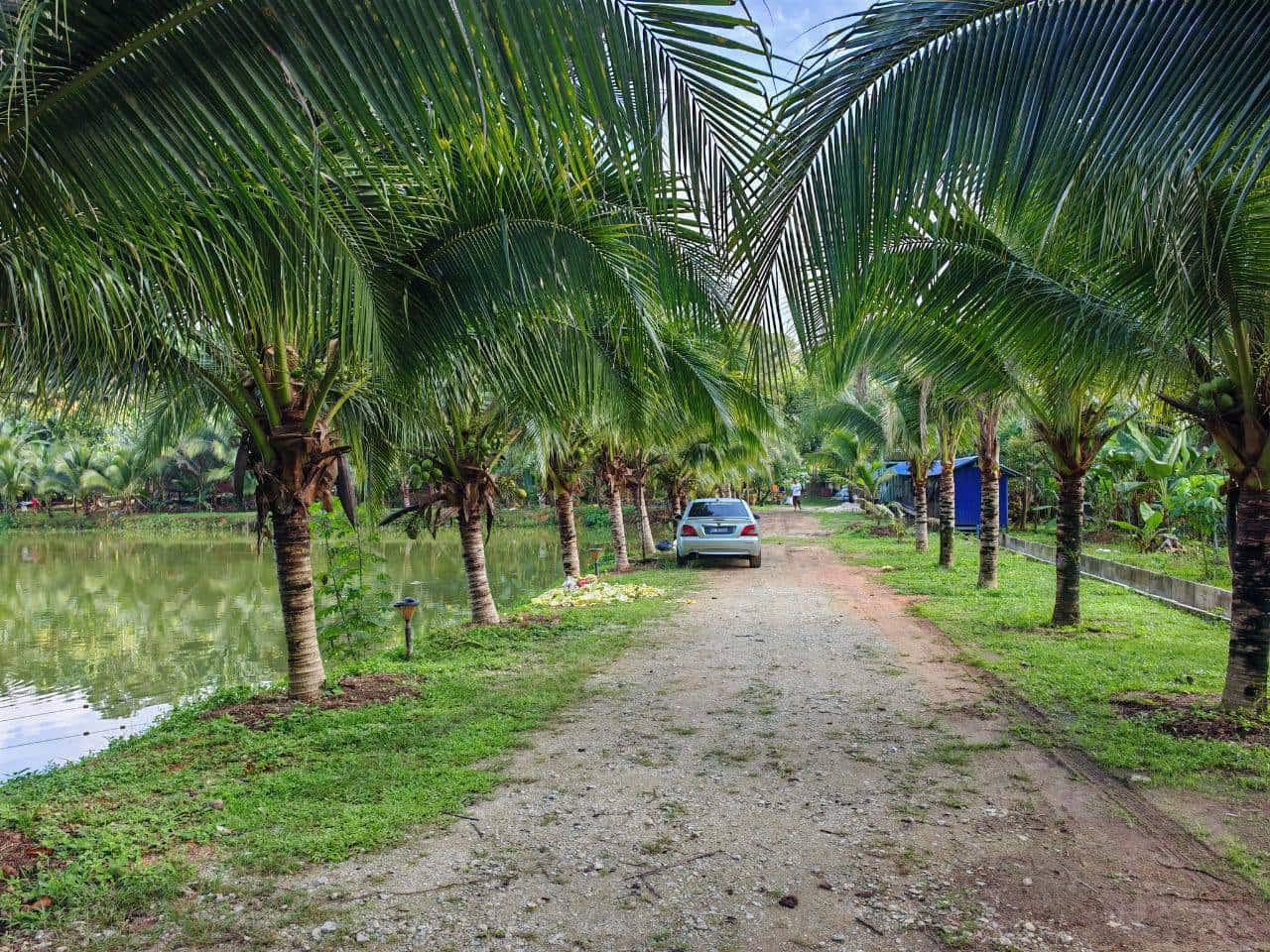 Agricultural Land Kota Tinggi 5