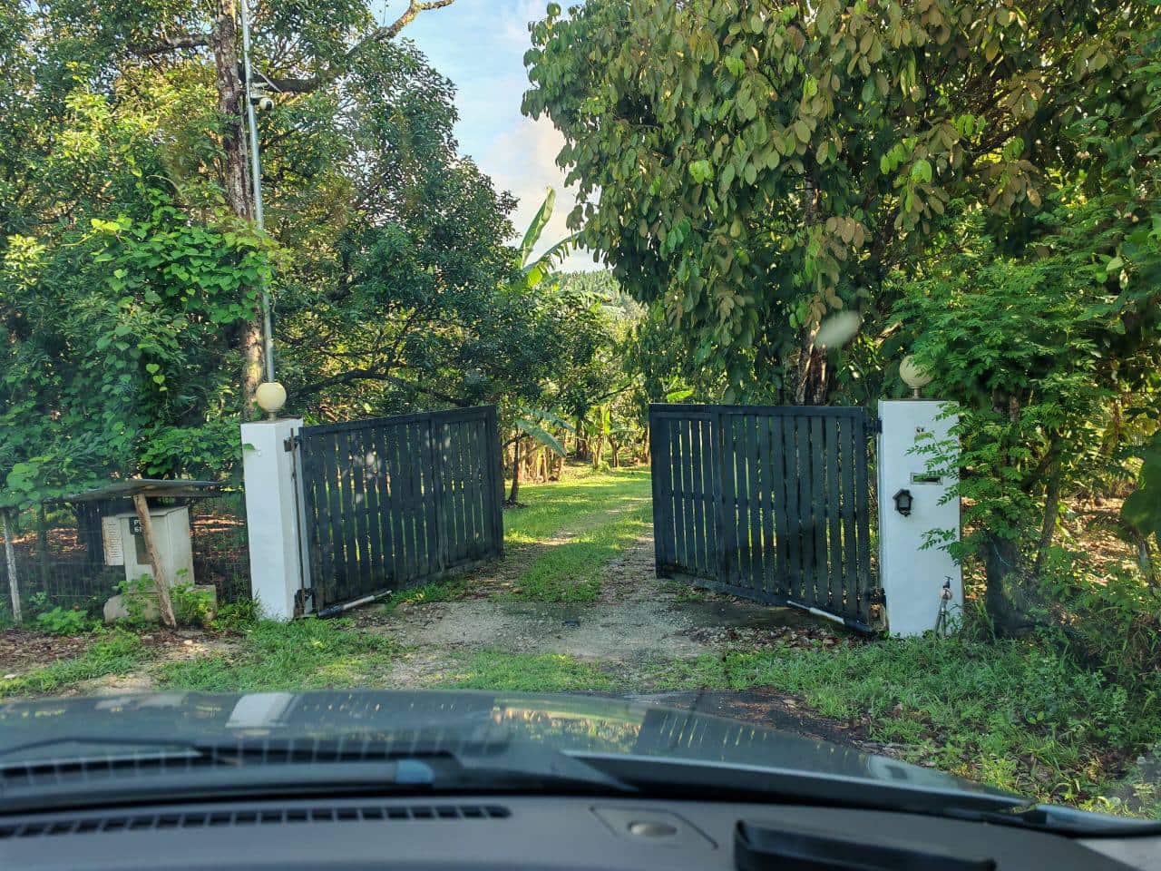 Agricultural Land Kota Tinggi 6