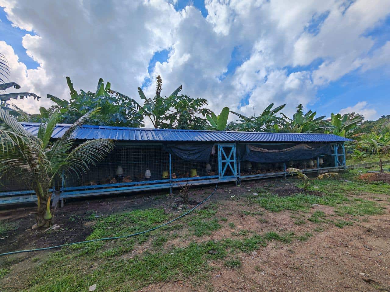 Agricultural Land Kota Tinggi 8