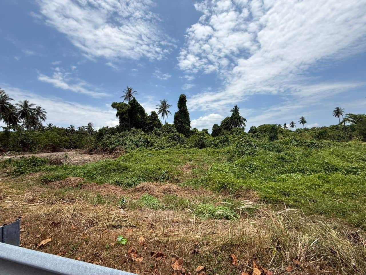 Agriculture Zoned Residential Jalan Makan 4