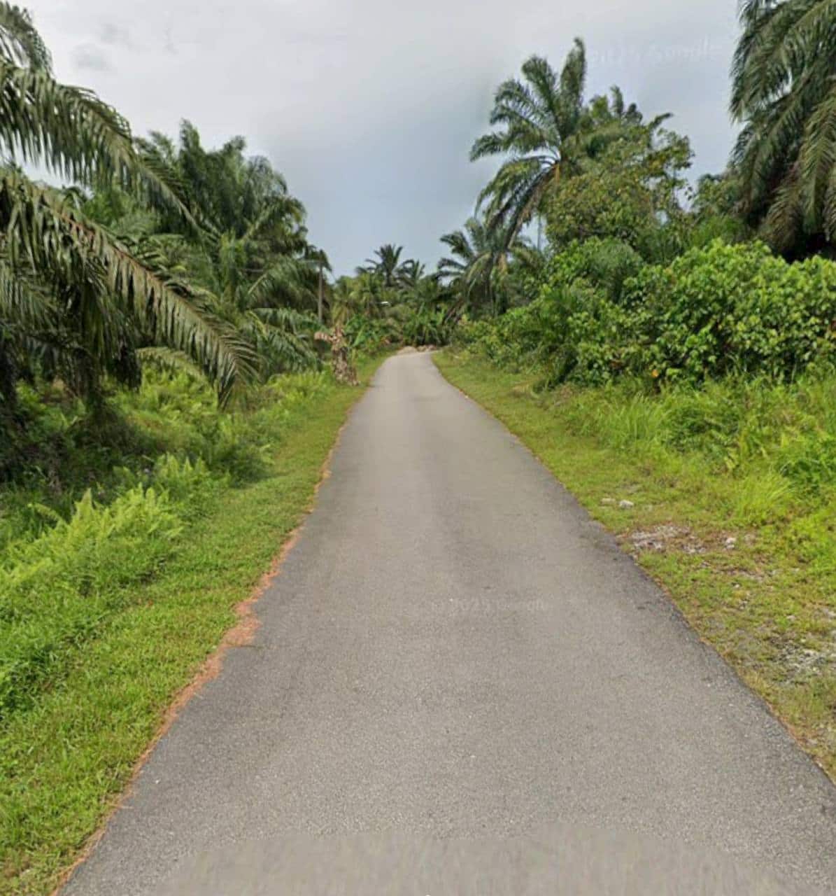 Agricultural Land Pontian 2