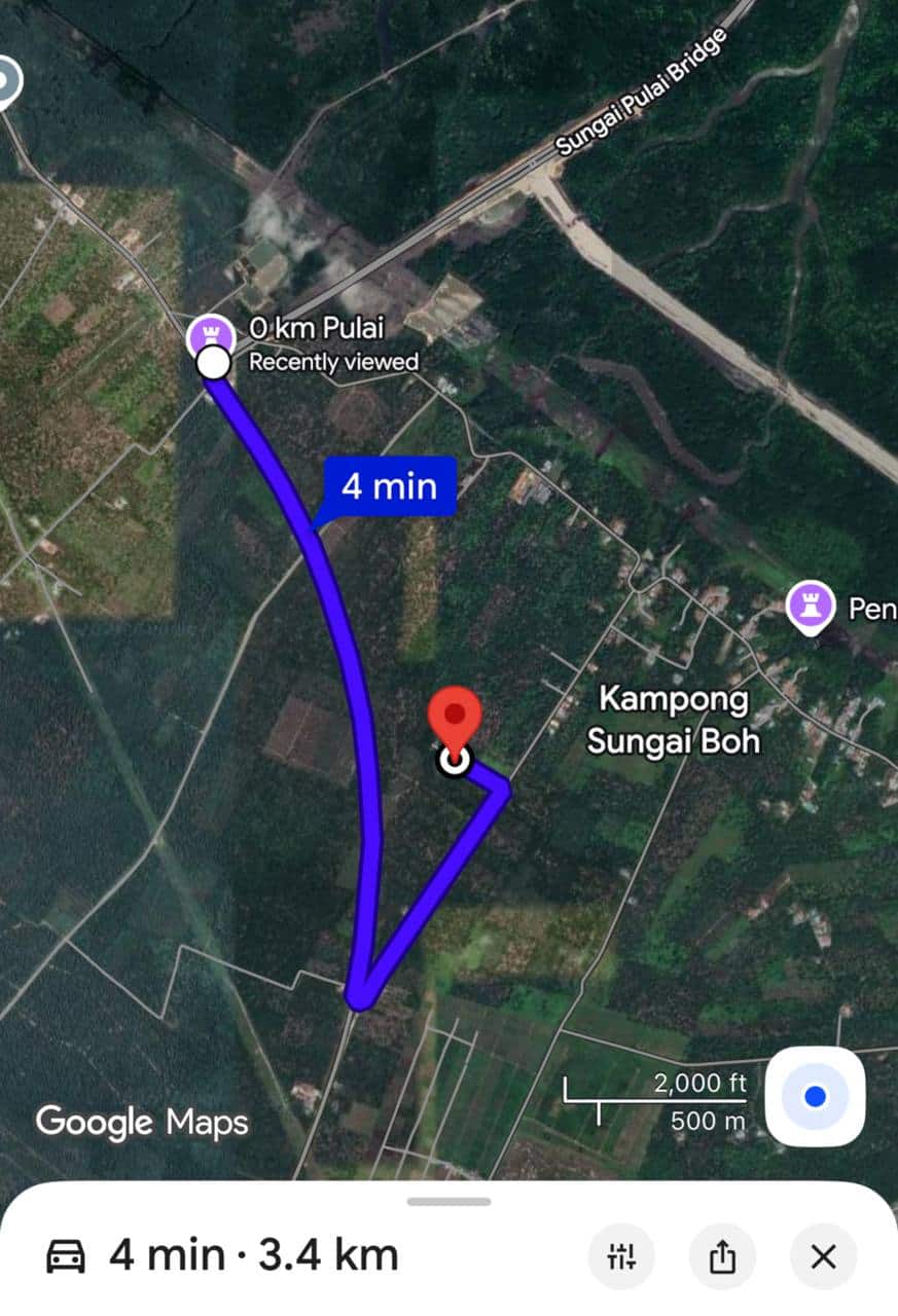 Agriculture Land (Pertanian - Kelapa Sawit) Pontian 3