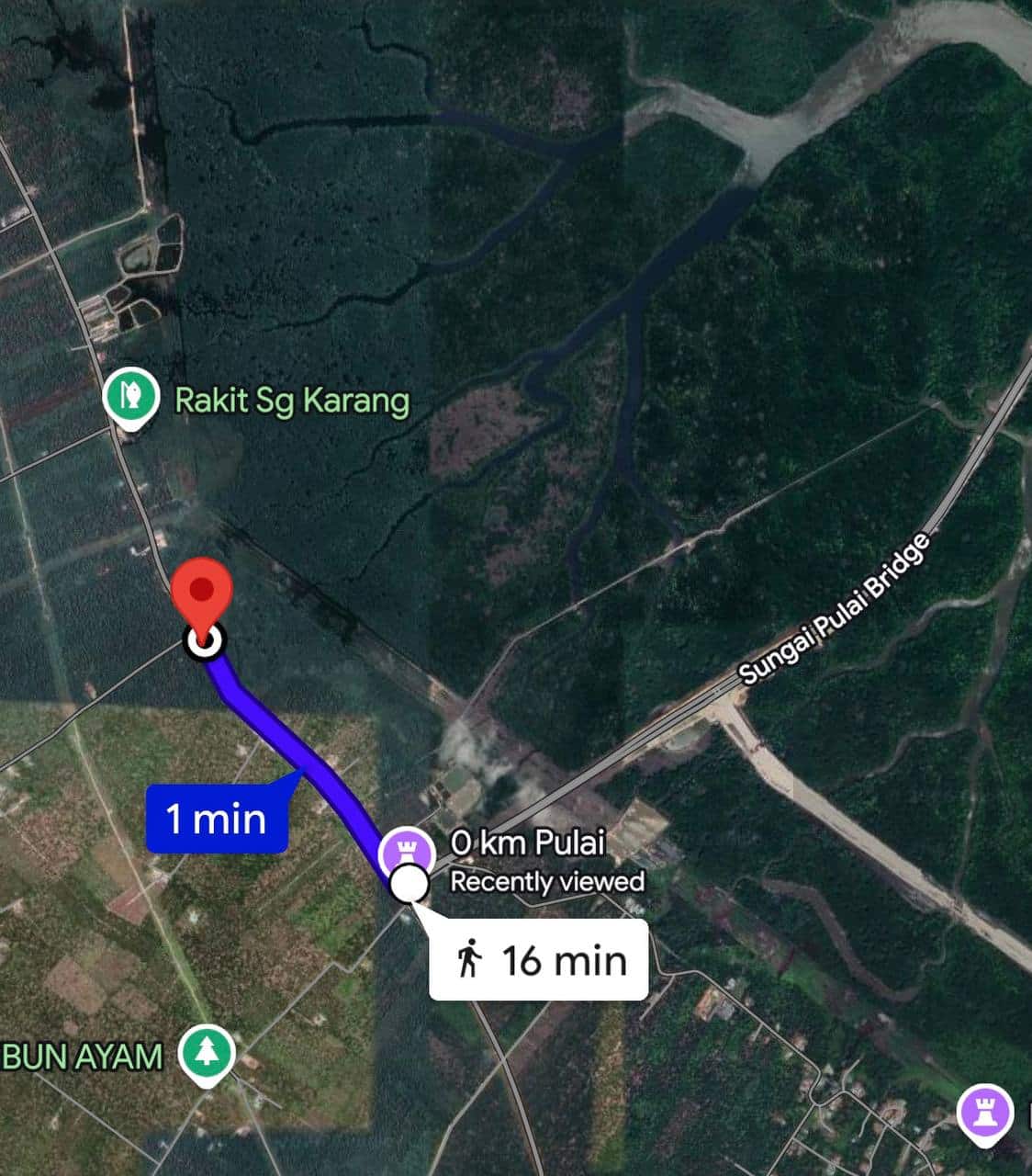 Agriculture Land (Pertanian - Kelapa Sawit) Pontian 7