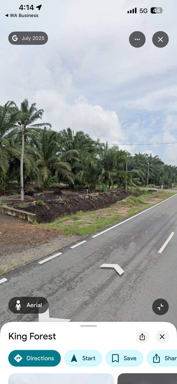 Agriculture Land (Pertanian - Kelapa Sawit) Pontian 1