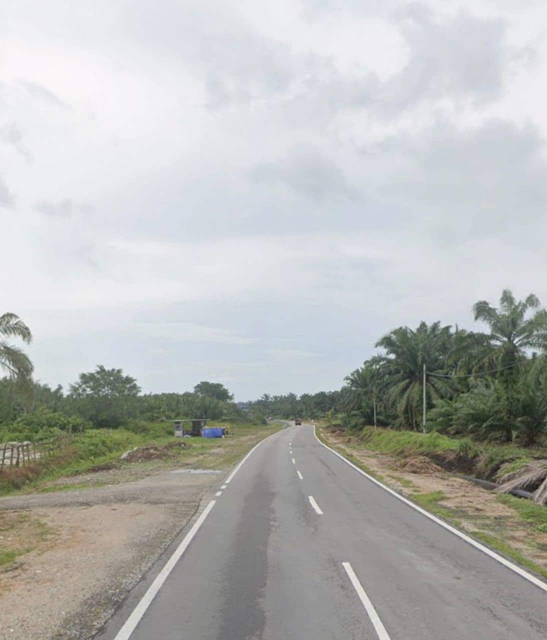 Agriculture Land (Pertanian - Kelapa Sawit) Pontian 4
