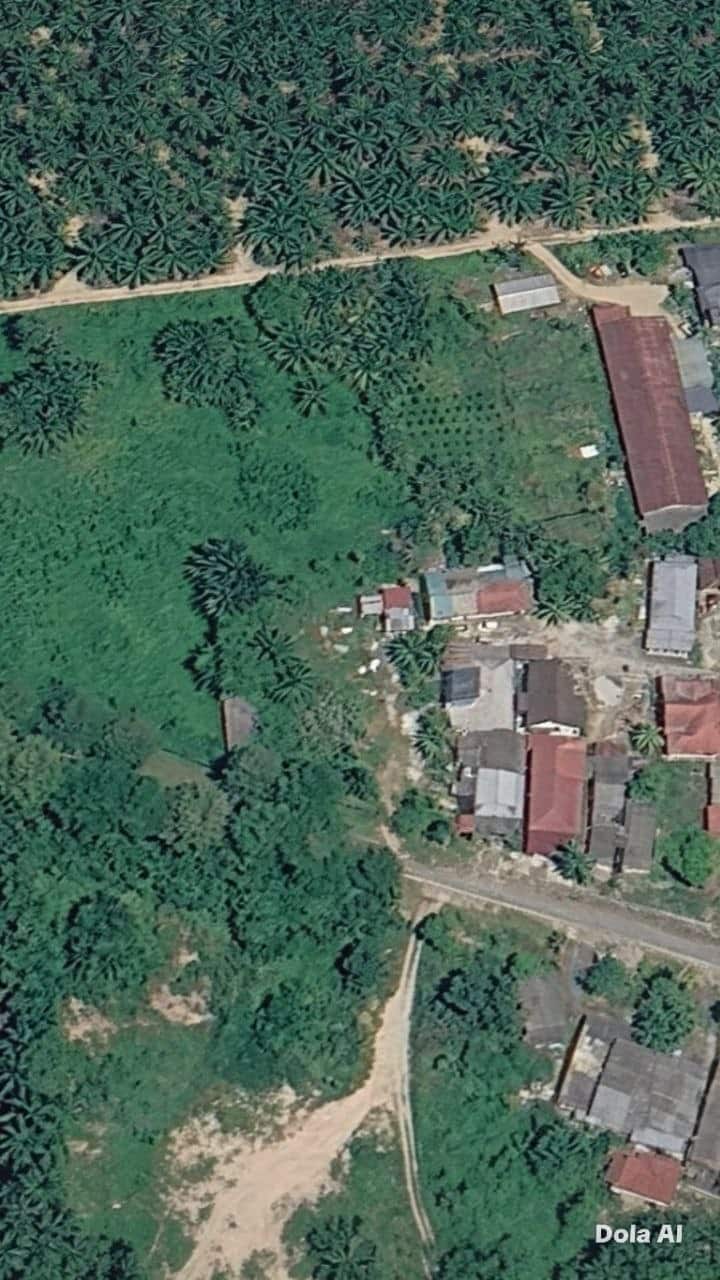 Land Pekan Nanas 4