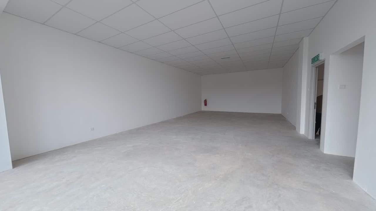1.5 Storey Terrace Factory Empire Park 4