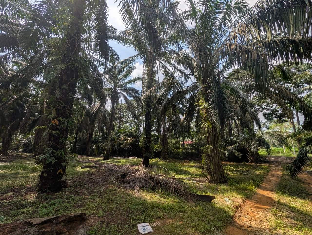 Light Industrial Land Air Bemban 2