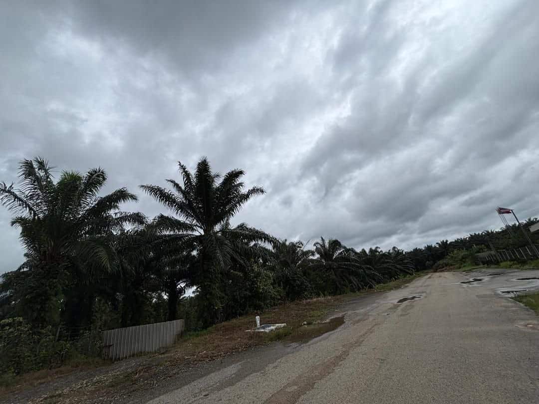 Agriculture land Batu 24 2