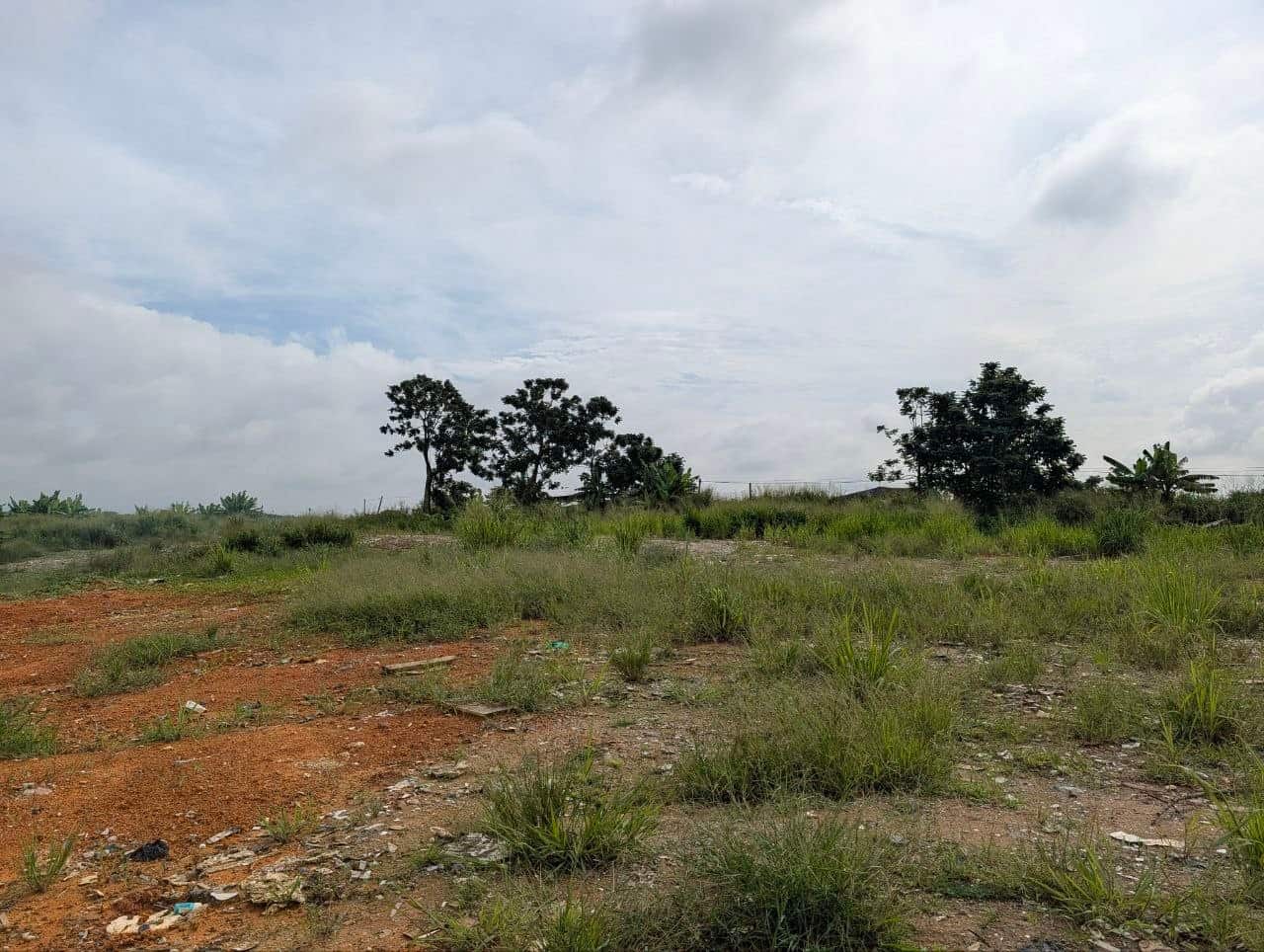 Agriculture Land Seelong Senai 3