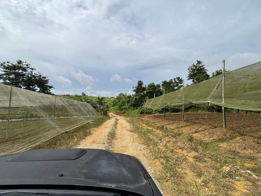 Agriculture land Seelong 3