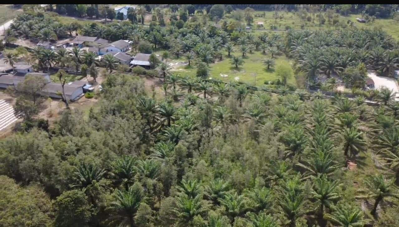 Agriculture land Ulu Tiram 2