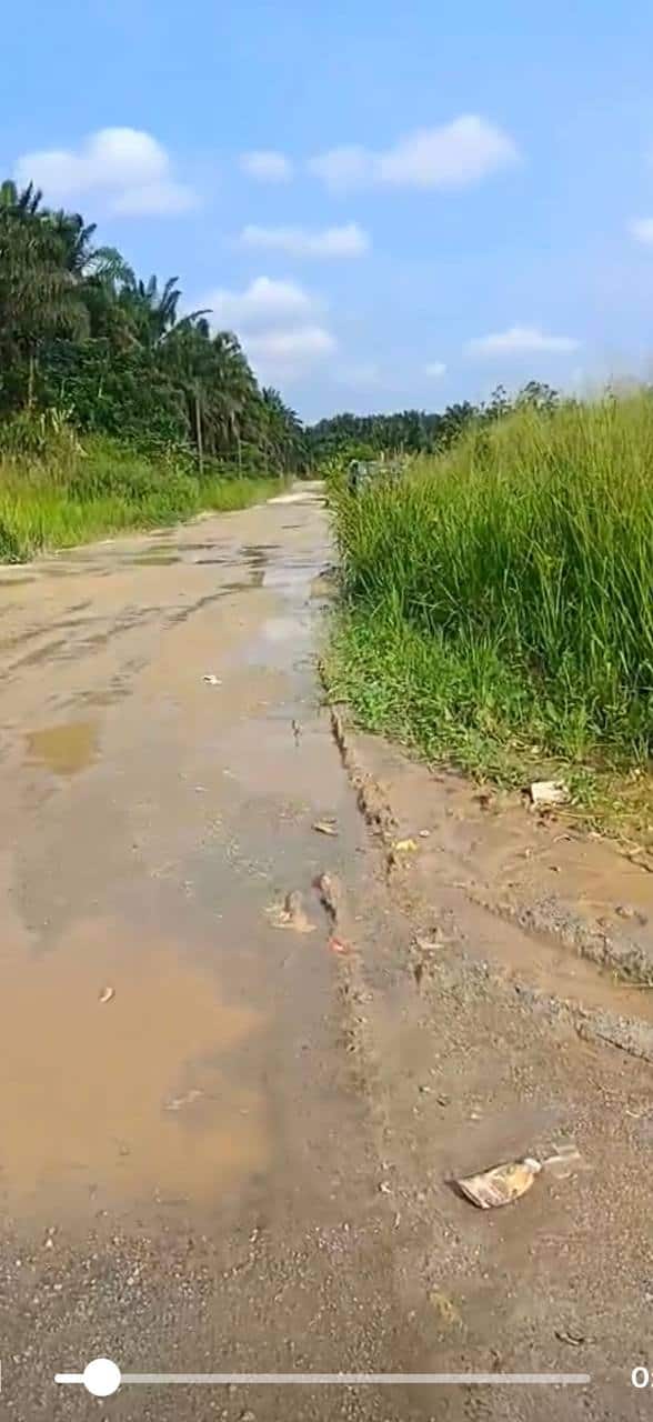 Agriculture Land Seelong Senai 2