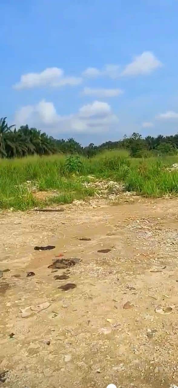 Agriculture Land Seelong Senai 4