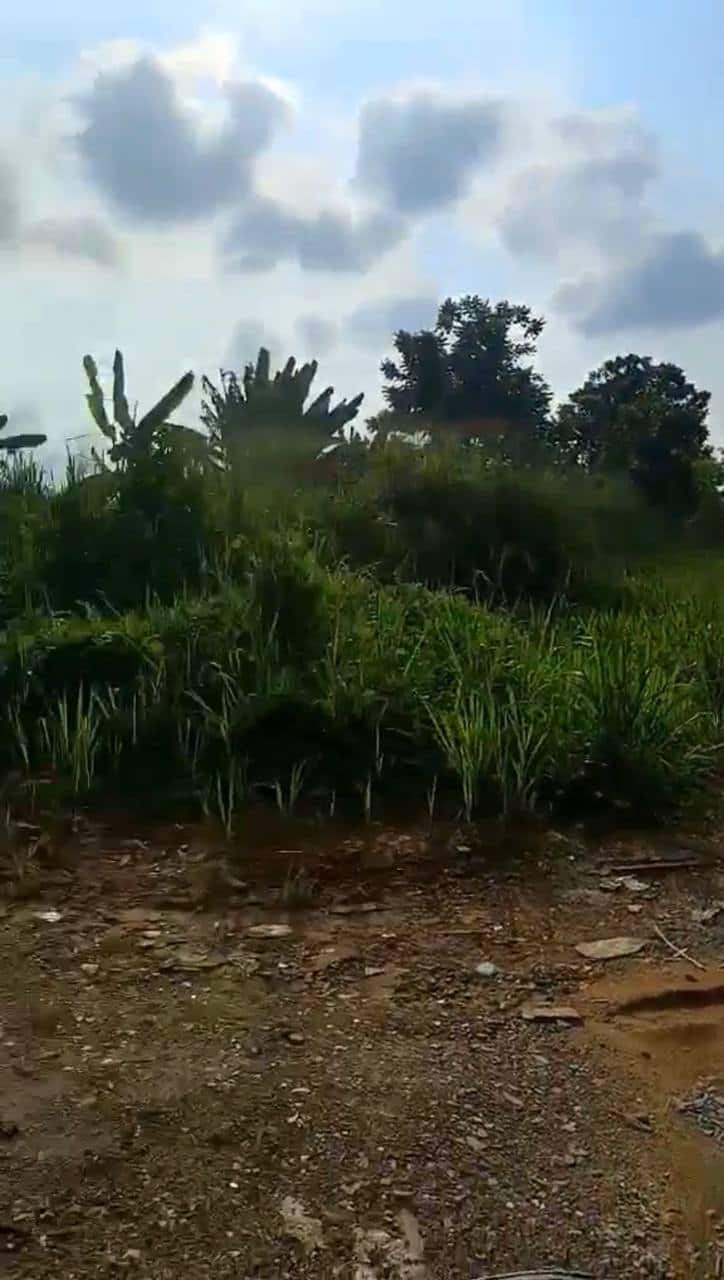 Agriculture Land Seelong Senai 3
