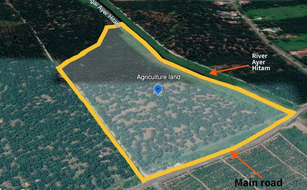 Agricultural Land Pontian 1