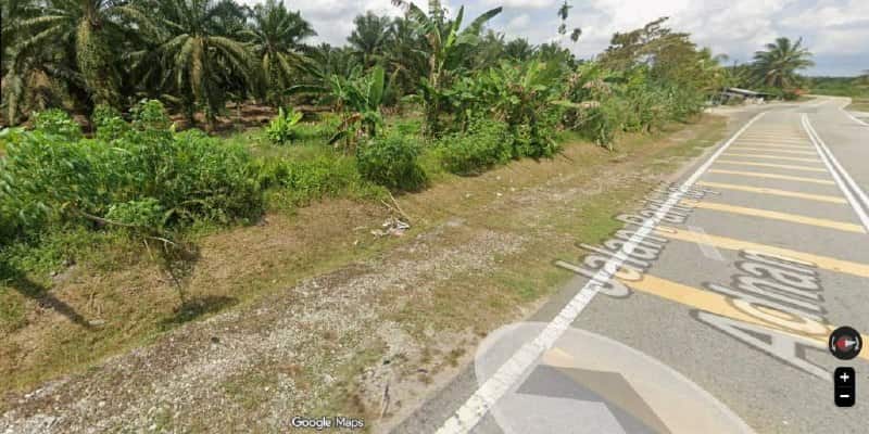 Agricultural Land Pontian 4