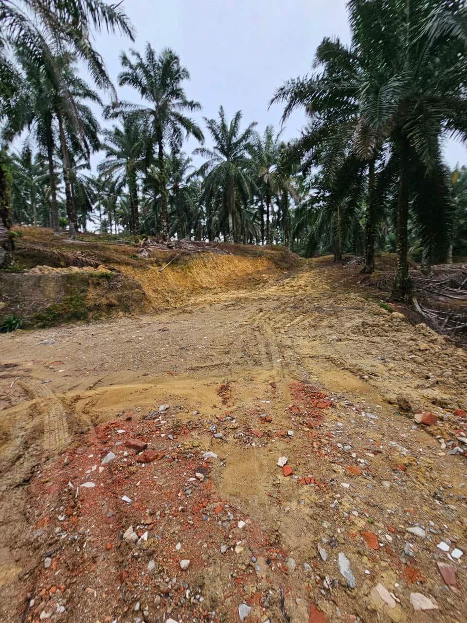 Agricultural Land Ulu Choh 6