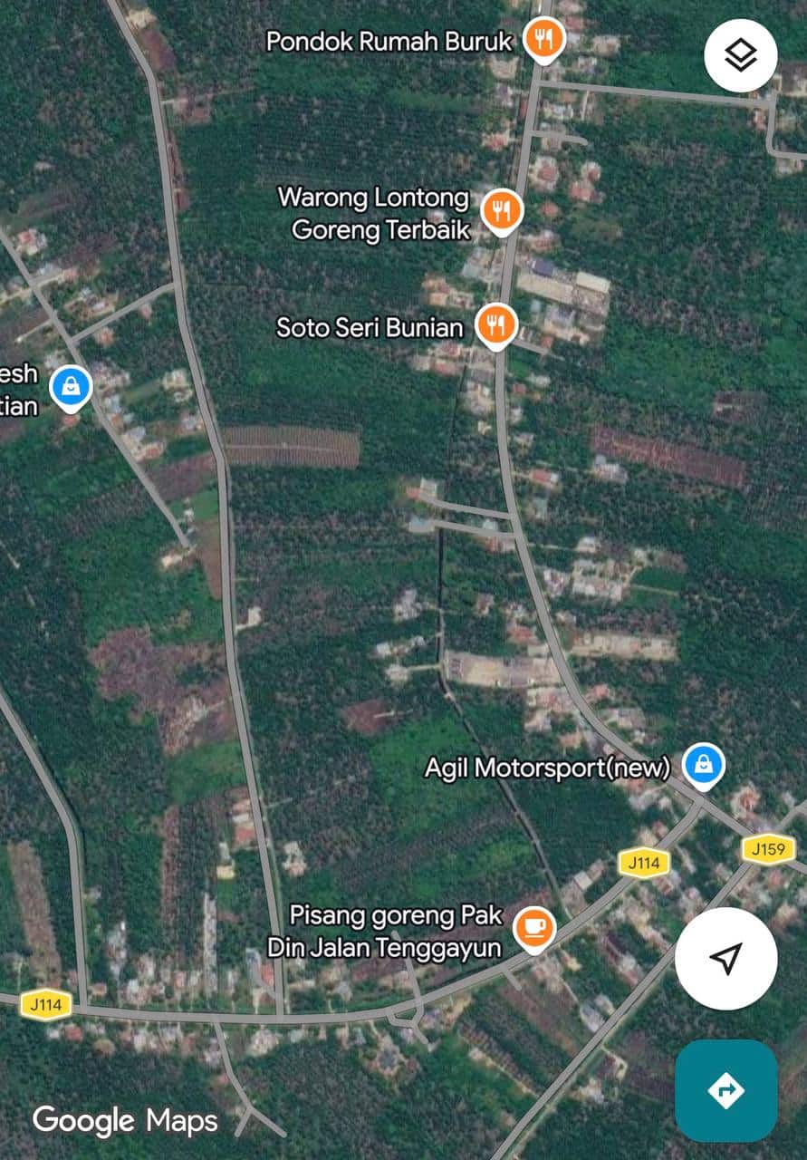 Agricultural land Rambah @ Pekan Nanas 3