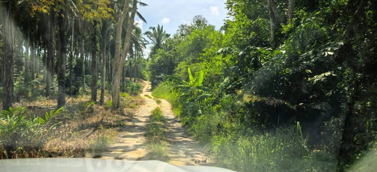 Agriculture Land Ban Foo Ulu Tiram 4