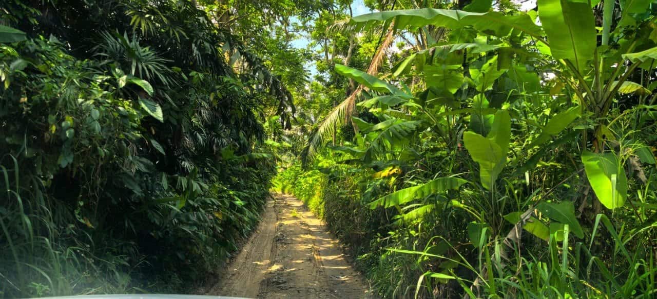 Agriculture Land Ban Foo Ulu Tiram 5