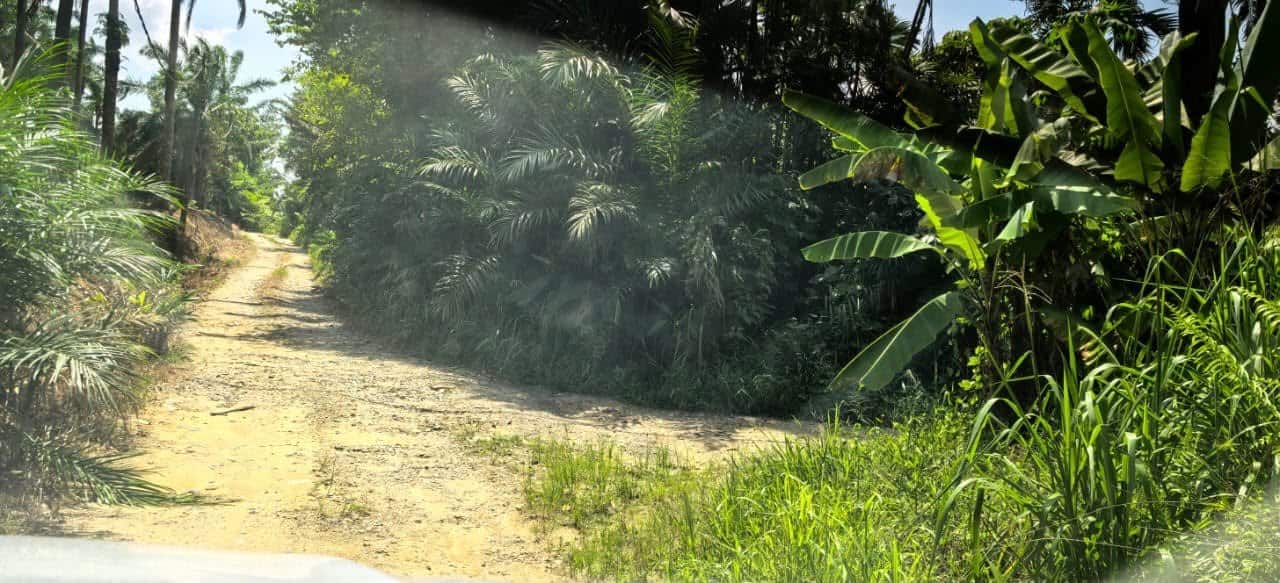 Agriculture Land Ban Foo Ulu Tiram 3