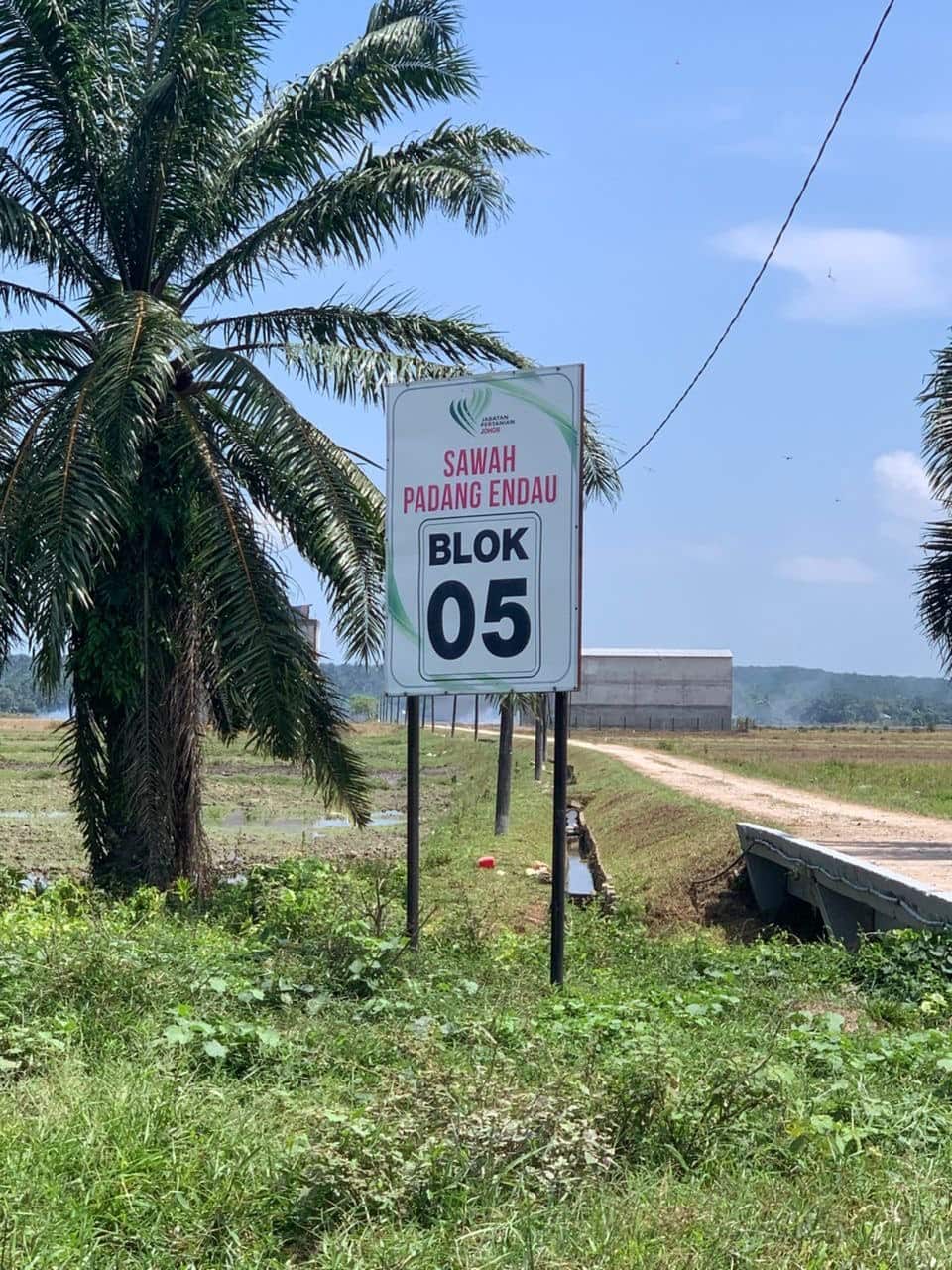 Agriculture Land Mersing 2