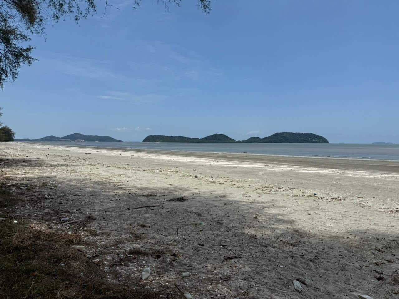 Agriculture Zoned Residential Land Mersing 2