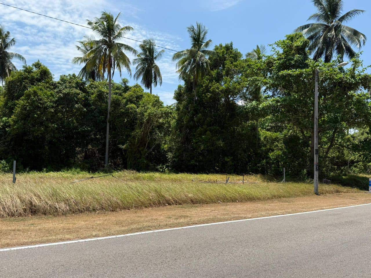 Land Mersing 3