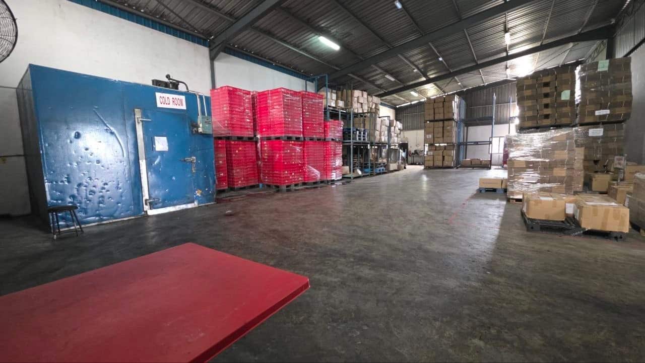 Single Storey Factory Taman Pontian Jaya 3