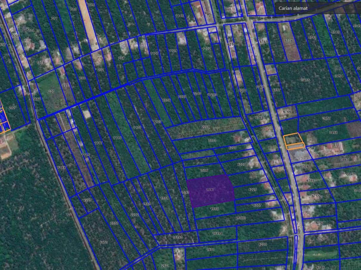 Agriculture Land Pontian 5
