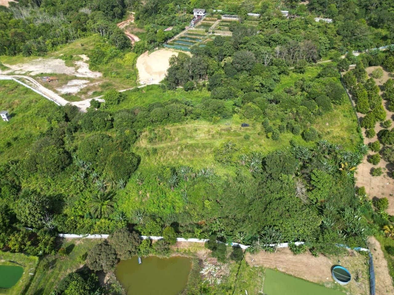 Agriculture land Kangkar Pulai 3