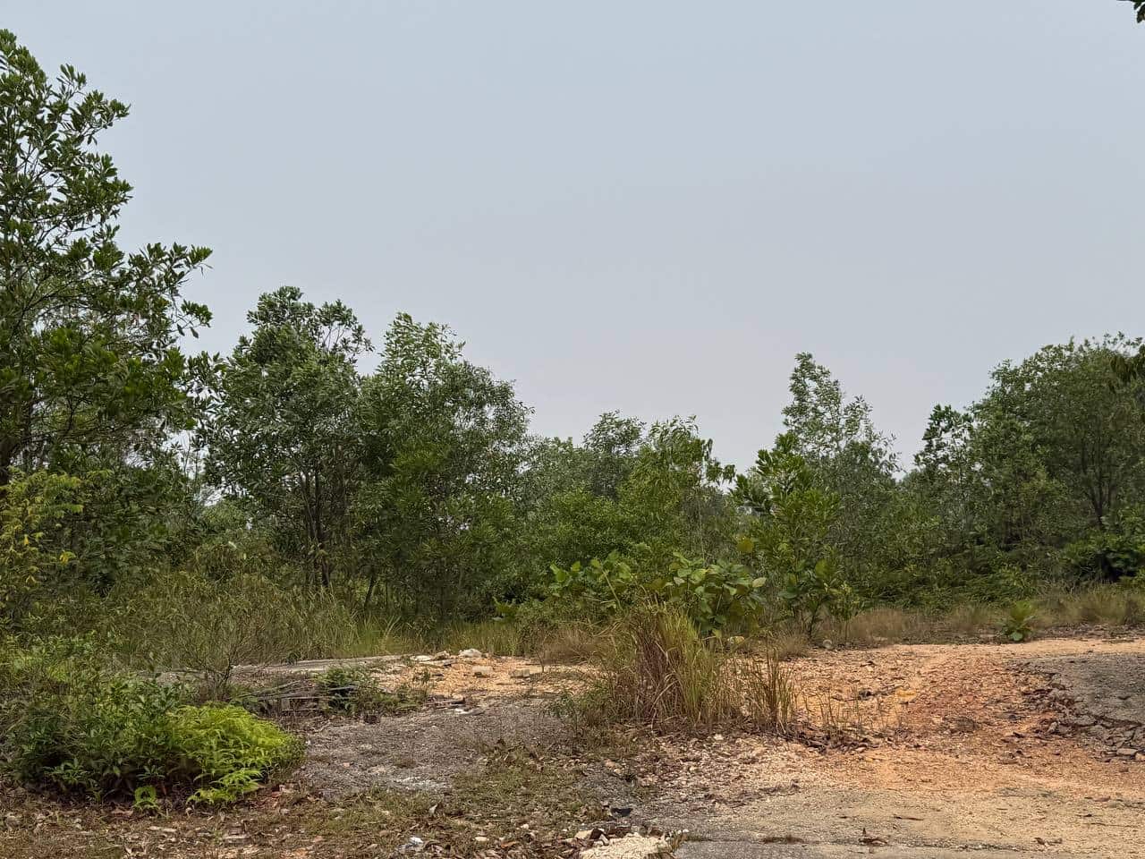 Residential land Taman Saujana 3