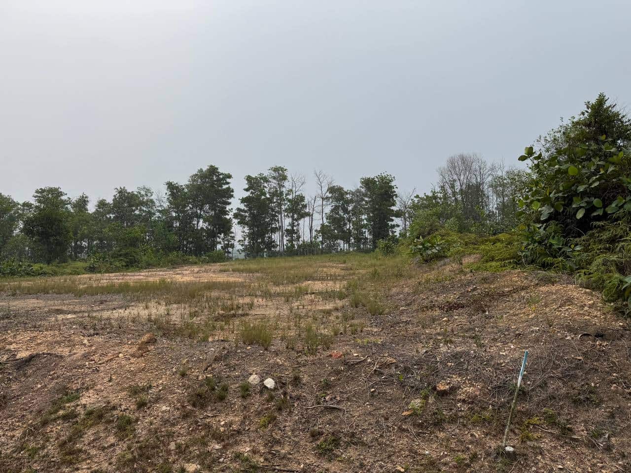 Residential land Taman Saujana 1