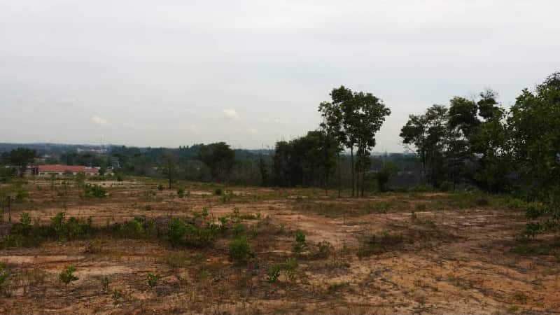 Bungalow Land Kota Masai 4