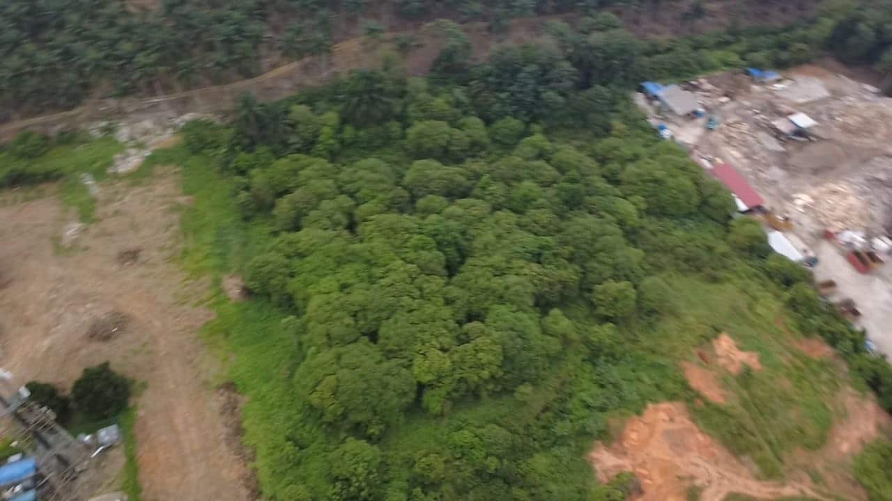 Agriculture Land Seelong 6