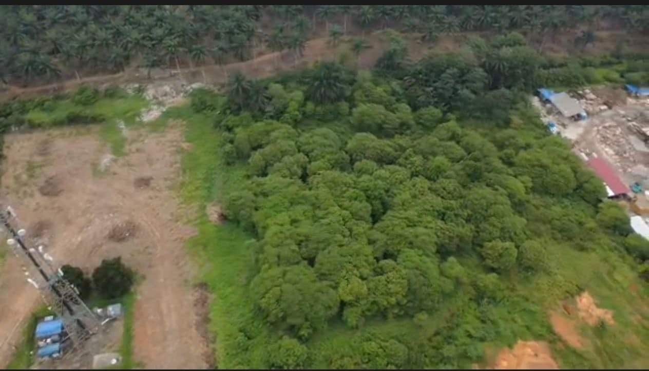Agriculture Land Seelong 2