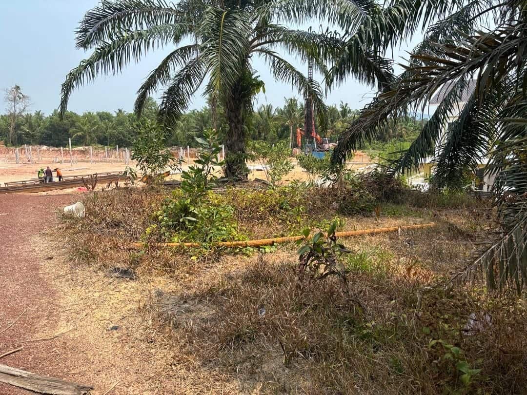 Agriculture Land Tangkak 2