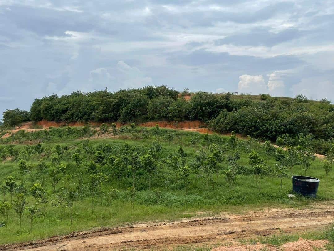 Agricultural Land J8, Jalan Seelong 3