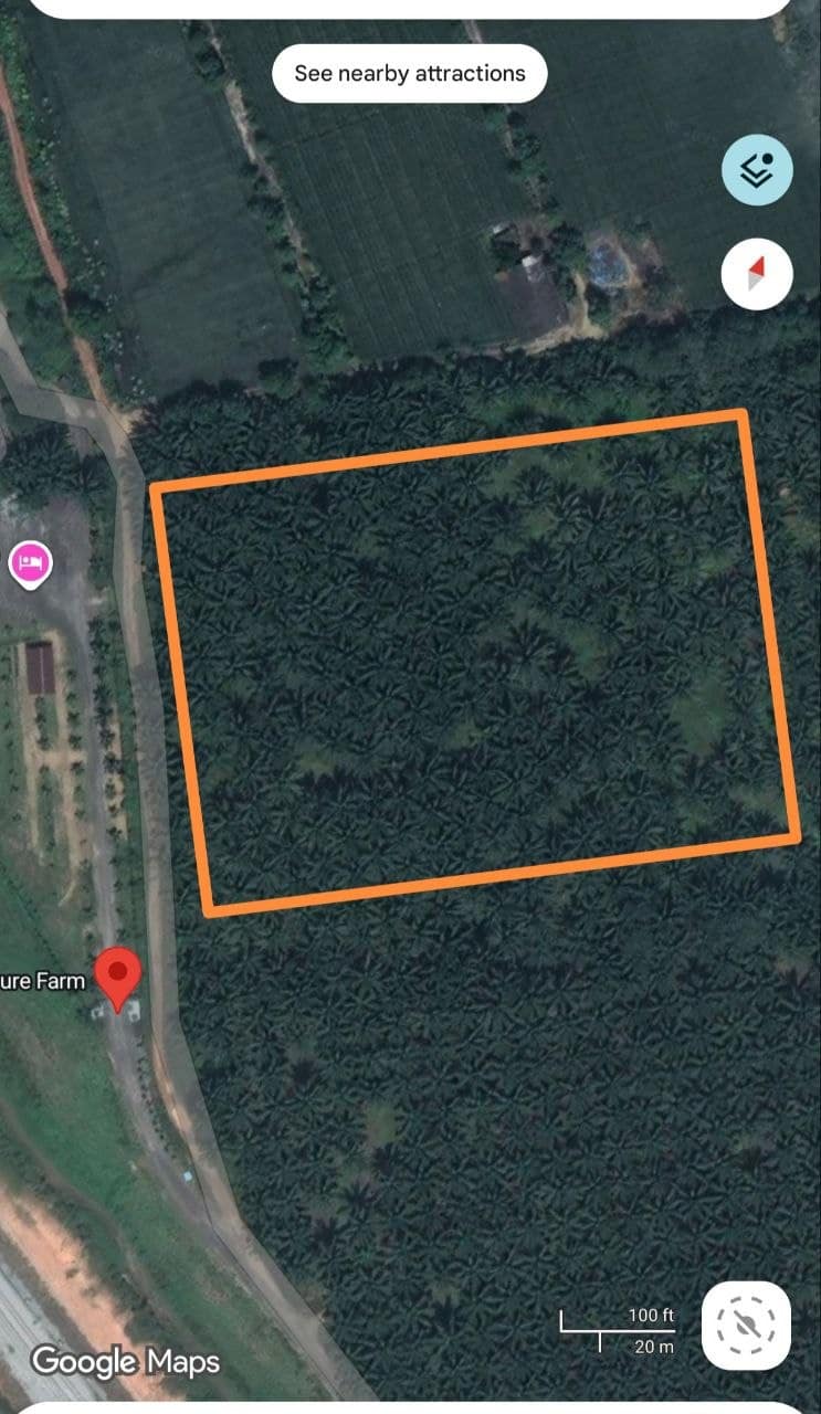 Agricultural Land Sengkang – photo 1
