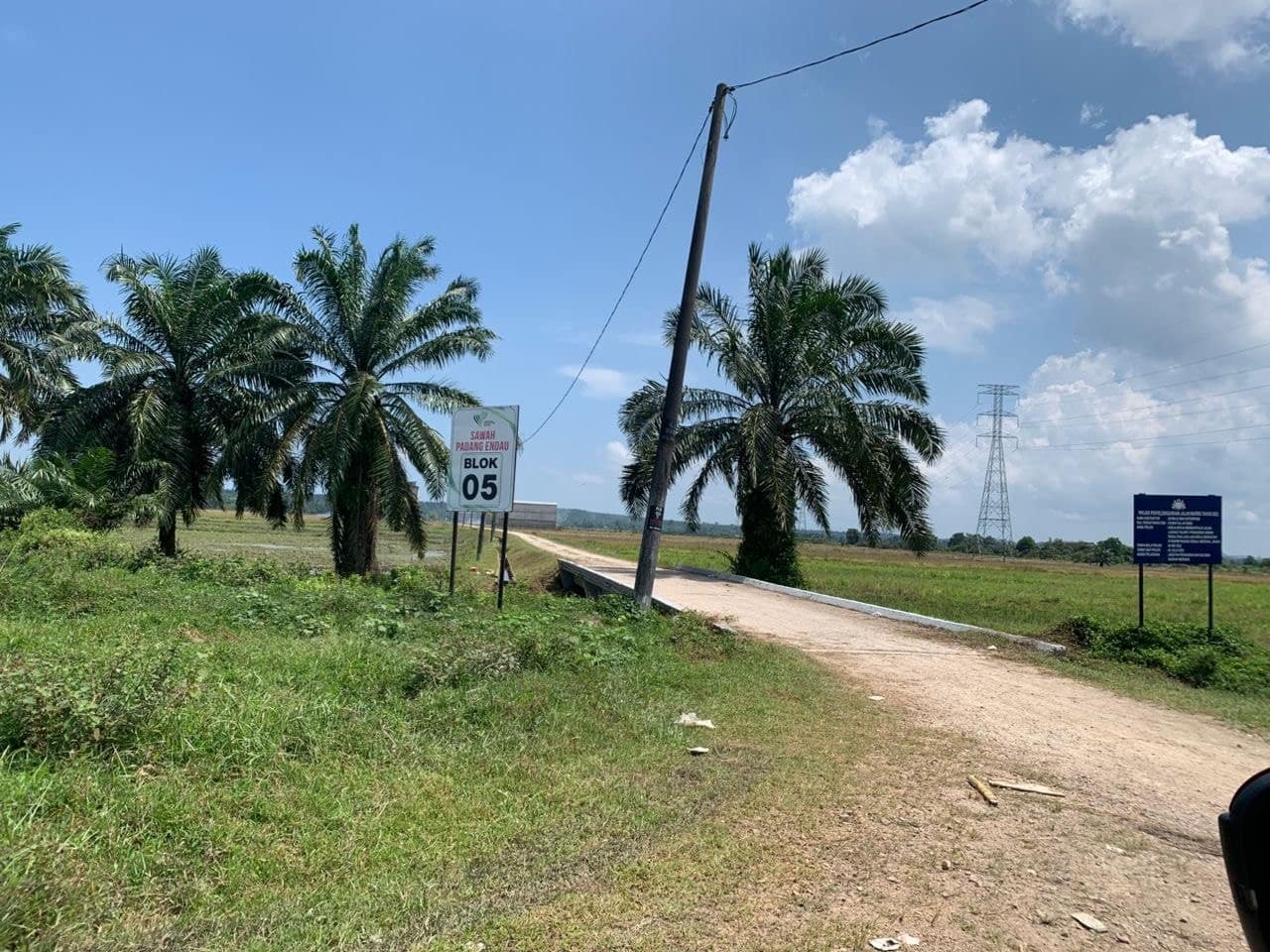 Agriculture Land Mersing – photo 1