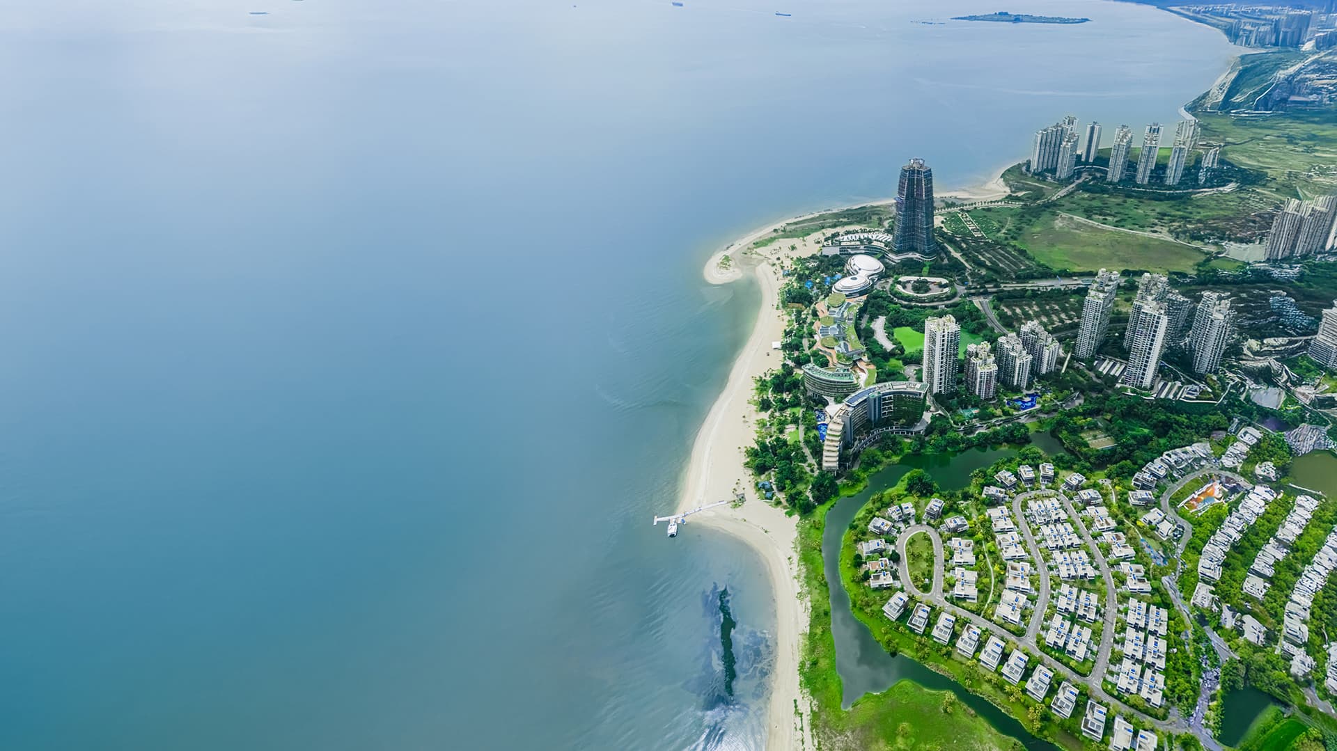 Forest City Skyline Background