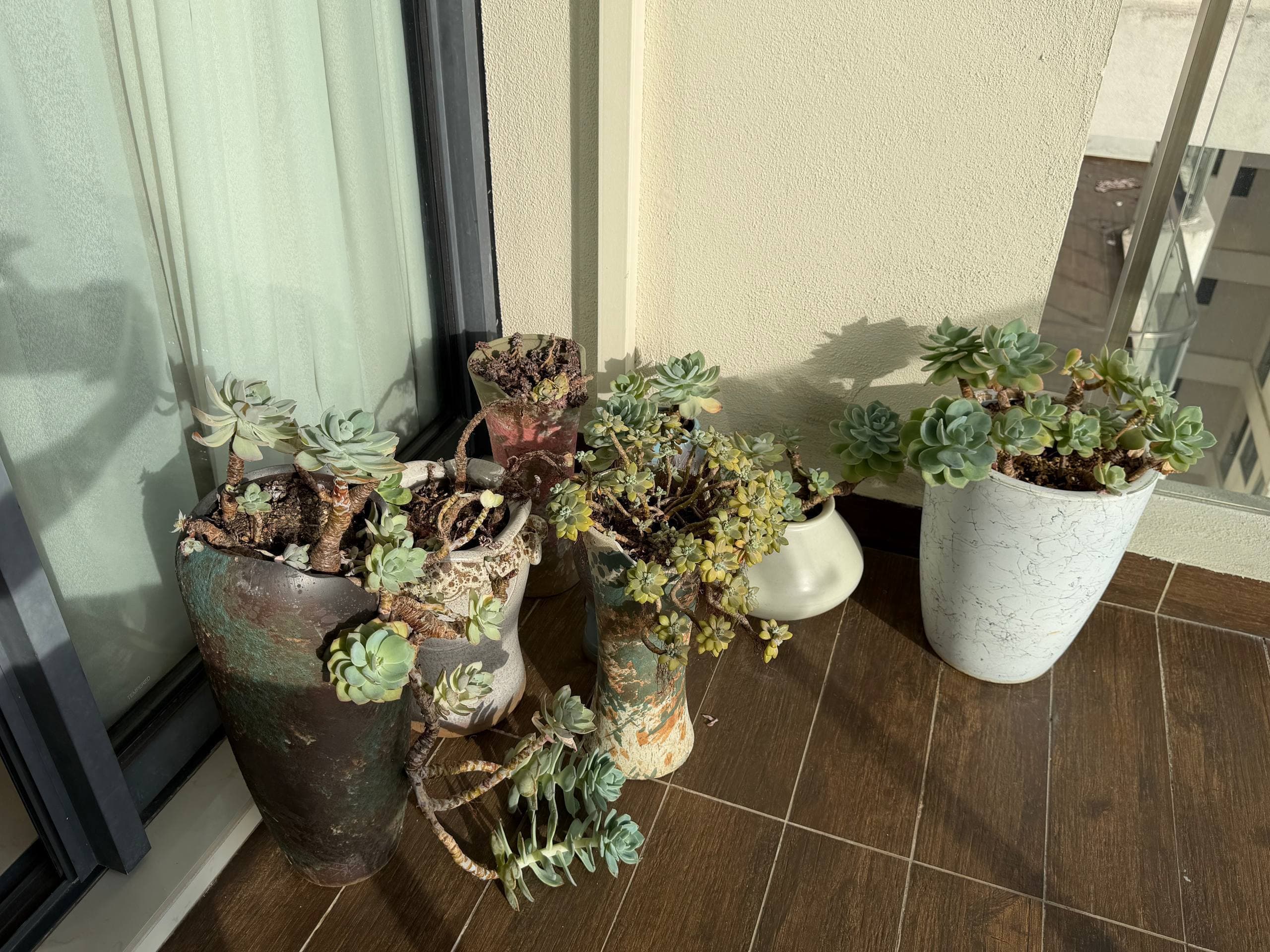 Corner Unit Country Garden Danga Bay 9