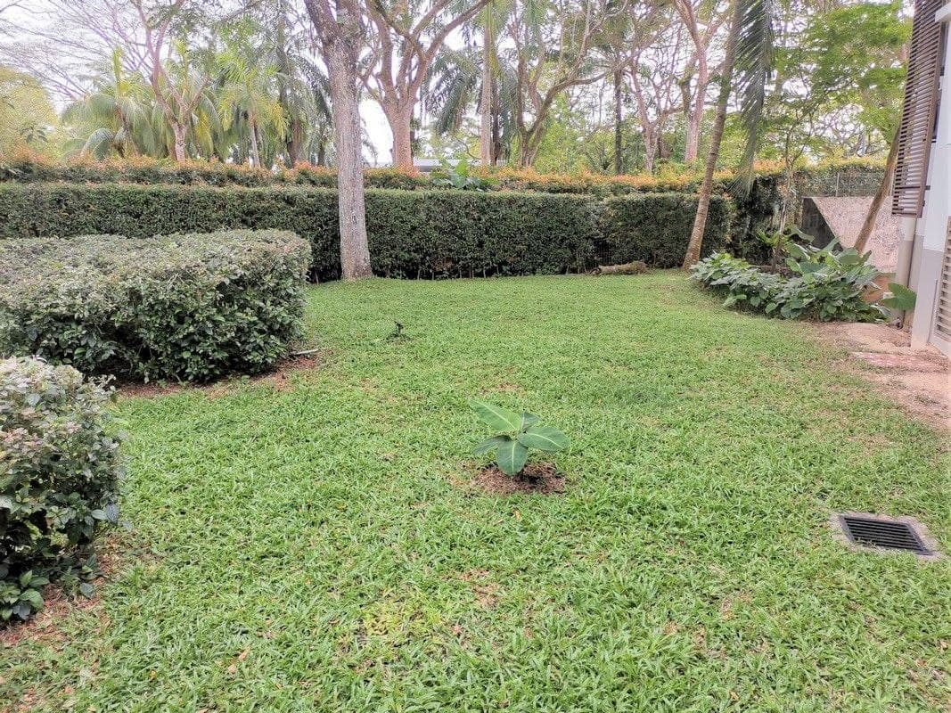 2 Storey Semi-D Bayou Water Village Leisure Farm 5